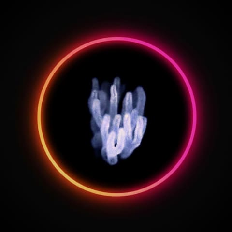 ロングポスト